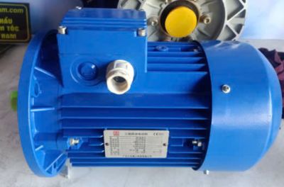 Motor kéo CÔNG NGHIỆP 2HP-1.5KW Hoàng Anh 