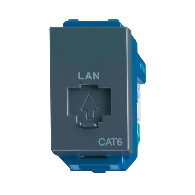 Ổ mạng màu xám WEV24886H-CAT6 Panasonic 