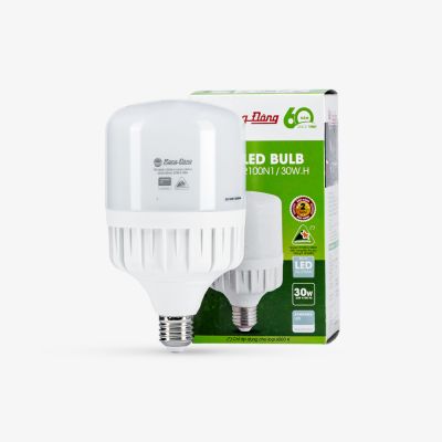 Led buld TR100N1-30W Rạng Đông