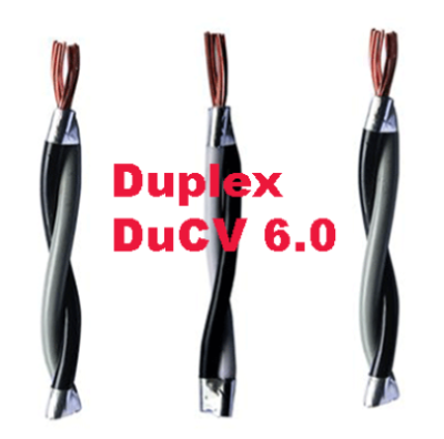  Duplex đồng 2x6 Cadivi 