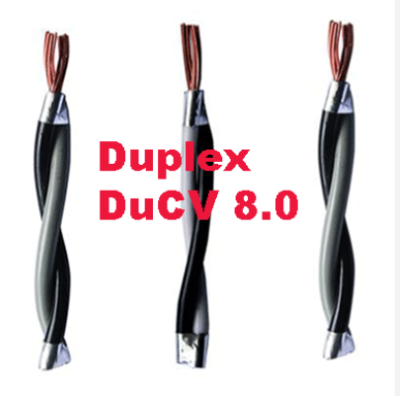 Duplex đồng 2x8 Cadivi